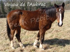 L'un de nos protégés