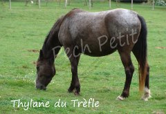 L'un de nos protégés