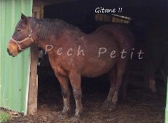 L'un de nos protégés