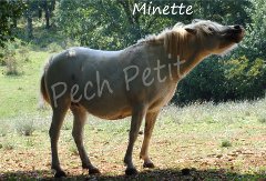 L'un de nos protégés