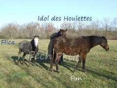 L'un de nos protégés