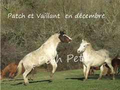 L'un de nos protégés